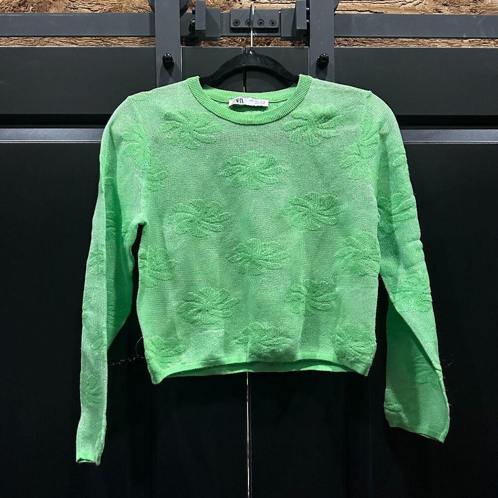 Lime Green Sheer Flower Print Long Sleeve Zara Cropped Top